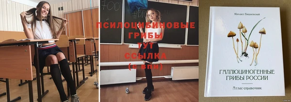 мет Вяземский