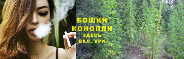 мет Вяземский