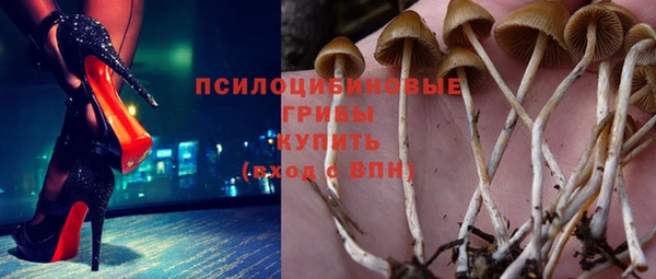 прущая мука Вязьма